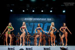 BIKINI НОВИЧКИ 164